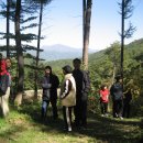 하늘내린농장 이미지