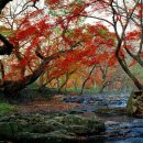 고창시장 입구 이미지