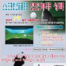 대양스크린골프 네이버블로그