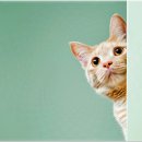 톤즈의원 동탄점 이미지