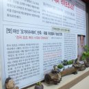 오가리수제비 네이버블로그