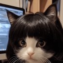 자연보검 이미지