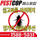 패스트 캅