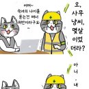 조아쓰