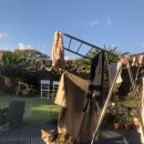 월정비앤비 이미지