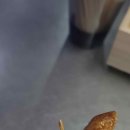 구월동맛집 풍미가 넘치는 완판닭강정
