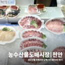 천안 미곡시장 화장실 | 천안농수산물도매시장 남해수산 대방어후기
