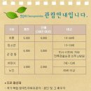 4월의 봄을 거닐다 (청남대 봄 축제) 이미지