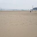 가평Self주유소 네이버블로그