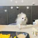 스토리 멍 이미지