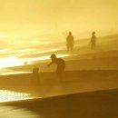 사람과바다 이미지