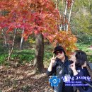 사과나무공인중개사사무소 이미지