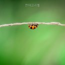 현대고시텔 - 구미시 구미중앙로27길 23 | 현대고시텔