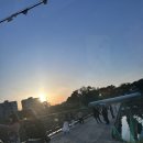 세동농장 | 5월 부업으로 장미꽃을 파는 일상