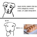 돈가네 | 주차가능한 성복역 김치찌개 맛집 [돈가네김치찌개] 솔직후기