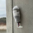 키키브라더스 마포점 | 2023년 1월의 일상, 서울 호텔 여행