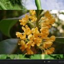 율촌중학교 이미지