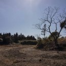 고수동 마을앞 이미지