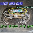 서해유치원 이미지