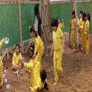 백문초등학교 이미지