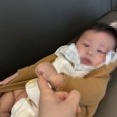 코골이고치는법 30가지 실패하고 아기통잠 막던 남편 코골이 잡은 후기