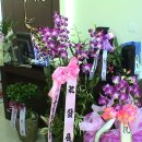 (주) 삼배 이미지