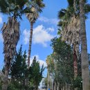 오쇼 하우스 | 제주펜션 - 오쇼하우스에 다녀온 후기