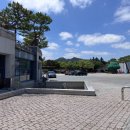 예체문화관 수달수영장 이미지