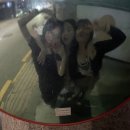 아이러브 캣 이미지