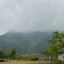 (주)영우 롯데 본점 B2층 매점 | <04.21 - 04.30> 나름 바캉스