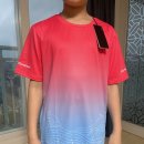 대운장 | 2026 평화의 섬 제주 국제마라톤 대회 참가 후기