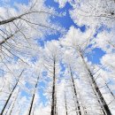 로망스 파크 이미지