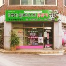박사플로리스트꽃꽂이