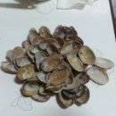 수바지락칼국수 이미지