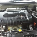 오아시스크리닝샵 이미지