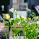 임대길농장 이미지