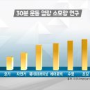 G관장킥복싱무에타이