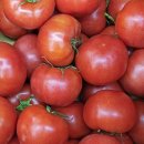 토마토 - 의정부시 태평로73번길 20 | 토마토