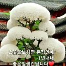 당신을 사랑합니다 이미지