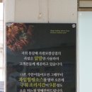 안산 와동 맛집 맛있는 구운족발 통달배 배달 후기