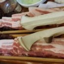 신태백성 네이버블로그