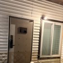 숲속쉼 | 제주도 1인 애견동반 숙소, 가성비 숙소 추천 숲속쉼🌳🐶 애견운동장, 애견카페 있음!