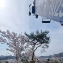 남성근린공원