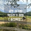 저수지목장 | [광주 송산목장] 아기랑 갈만한 곳 먹이주기 체험 가능한 송산목장