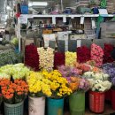 남대문관광안내소 | W20 I 남대문 꽃종합상가 웨딩스냅 촬영 셀프 부케 만들기 / 야구공 부케 만드는 팁