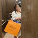 골드니스 | 루이비통 니스 나노 구매 후기 l 도시백ㅣ가죽스트랩 구매