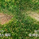 EZ 골프아카데미 이미지