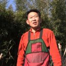 화개초등학교왕성분교 이미지