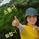 제부도 힐링펜션 네이버블로그