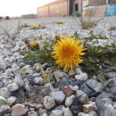 포항곤충농장 이미지